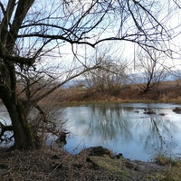 Река Ока в районе села Салтыки