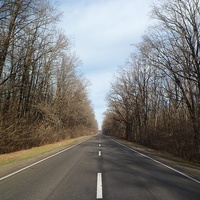 Дорога в Нерубайском лесу(трасса Т1217)