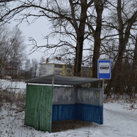 Автобусная остановка в деревне Болотовские дворы, 2021 г.
