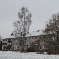 Трехэтажный дом в деревне Болотовские Дворы
