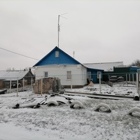 Дом в деревне Пушкарная