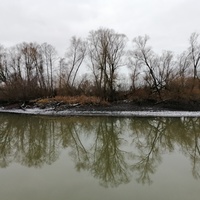 Река Ока в районе деревни Голубица. Кромской район