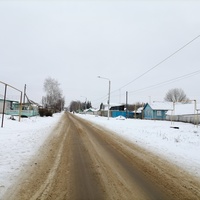 Улица в деревне Малая Драгунская