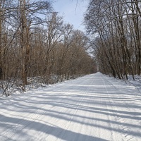 Дорога на Елизаветградку со стороны Подлесного.