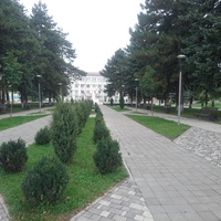 Площадь Ленина перед Администрацией Предгорного муниципального района