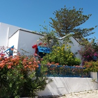 Сиди бу Саид,Тунис