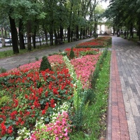 Аллеи Пантелеимоновского парка (молодой части Курортного парка)