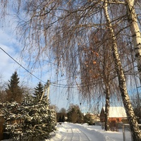 Солнечный январский день в Игнатьево