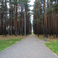 Комсомольский парк