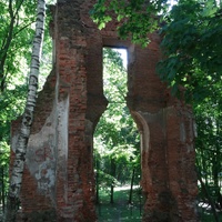 руины дворца Тышкевичей