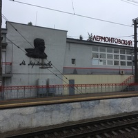 Ж/д вокзал и платформа "Лермонтовский" (разъезд) в микрорайоне Белая Ромашка
