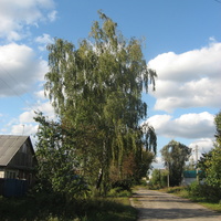 деревня Берёзки