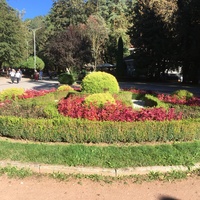 Лечебно-курортный парк. Клумба из цветов и декоративных кустарников в Нижней части парка
