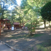Детская площадка «Лукоморье» в Нижней части Лечебно-курортного парка