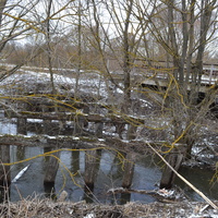 Остовы старого моста на реке. Деревня Ветренка