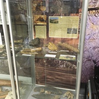 В Историко-художественном музее