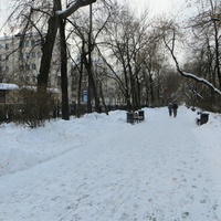Пешеходная аллея на проспекте Ленина