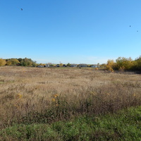 Вид на деревню Аничково, ул. Тихая