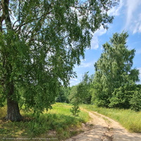 Дорога к Казанской водосвятной часовне  у ручья Белявка в западной окрестности Лакинска
