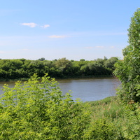 Вид на реку Дон из парка в усадьбе Д.Веневитинова.