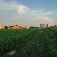 Салiгорск. Выгляд з поля