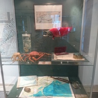 Музей Мирового океана. Экспозиция «Мир Океана. Прикосновение…»