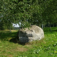 Камень-исполин у берёзовой аллеи в Петровском парке