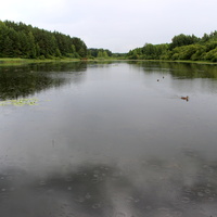 Бугровское озеро.
