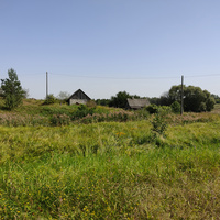 Окрестности деревни Андреевичи