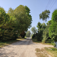 Улица деревни Снопки