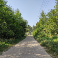 Улица деревни  Снопки