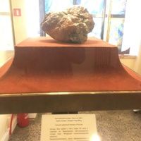 В Музее янтаря в башне Дона. Самый большой в России кусок необработанного янтаря "Сердце великана" весом 4кг 280г