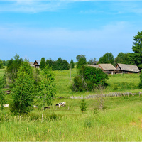 Деревня Кукольная