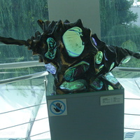 Музей Мирового океана. Экспозиция «Глубина»