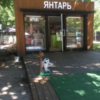 Магазин "Янтарь" на Курортном проспекте, 28