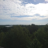 Куршская коса. Вид с высоты Мюллера на Болотной дюне. Вдали - озеро "Чайка"