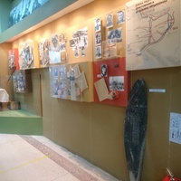 Экспозиция краеведческого музея. Зал «Прорыв Голубой линии»