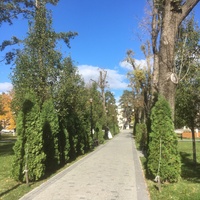 В Центральном парке (парке им. Тельмана)