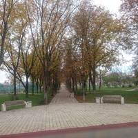 В парке 70-летия Победы около спортивной площадки