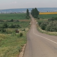 Дорога на село Привольное