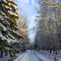 Тротуар на ул. Металлургов