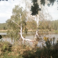 Истоки реки Городенки