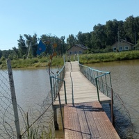 Мост через пруд