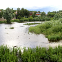 Река Пскова.