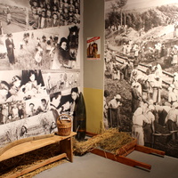 Военно-исторический музей "Юные защитники Родины" (реэкспозиция в новом здании).