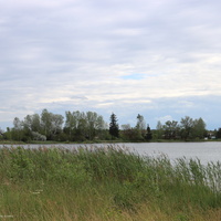Д. Прасковьино (Выселки) и озеро Куликово