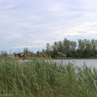 Д. Прасковьино (Выселки) со стороны озера Куликово