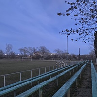Стадион нижнего парка