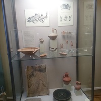 Экспозиции историко-археологического музея им. Е.Д. Фелицына