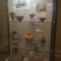 Экспозиции историко-археологического музея им. Е.Д. Фелицына